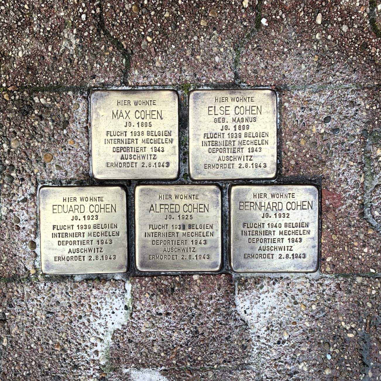 Patenschaft pflegen – Gedenken an den 9. November