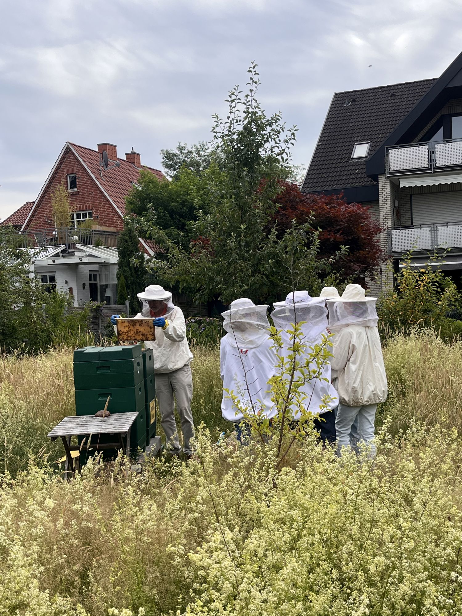 Auf den Spuren der Bienen – Wandertag der 7c im Calvin Garten