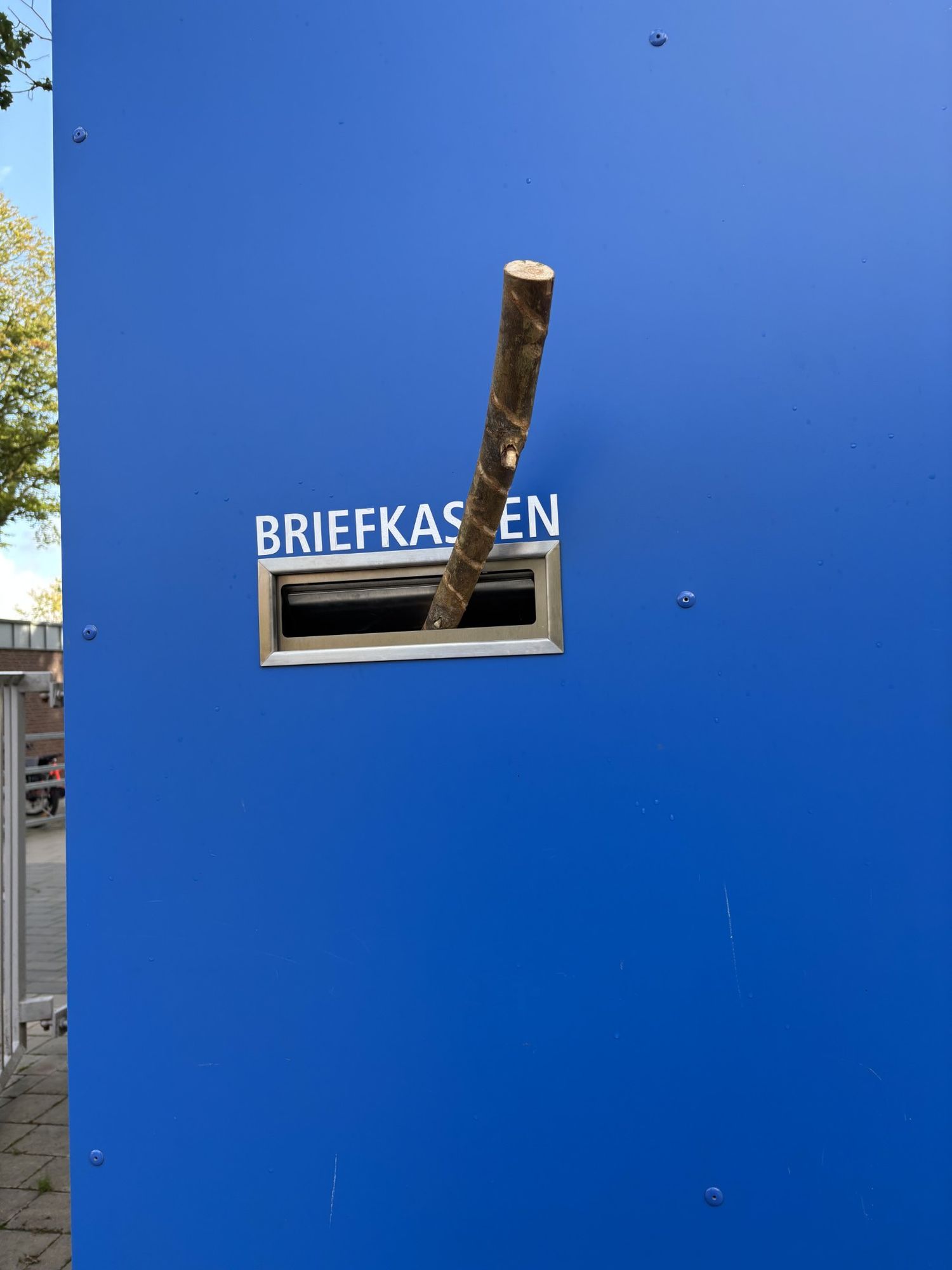 „Ein Stück Holz“ auf dem Schulfest des Franziskusgymnasiums Lingen